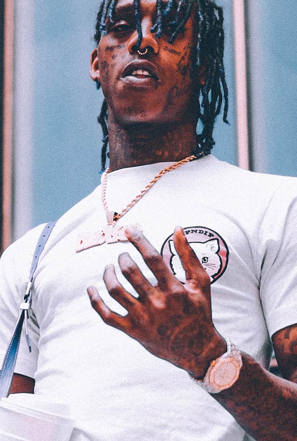 standard-home-img8a a